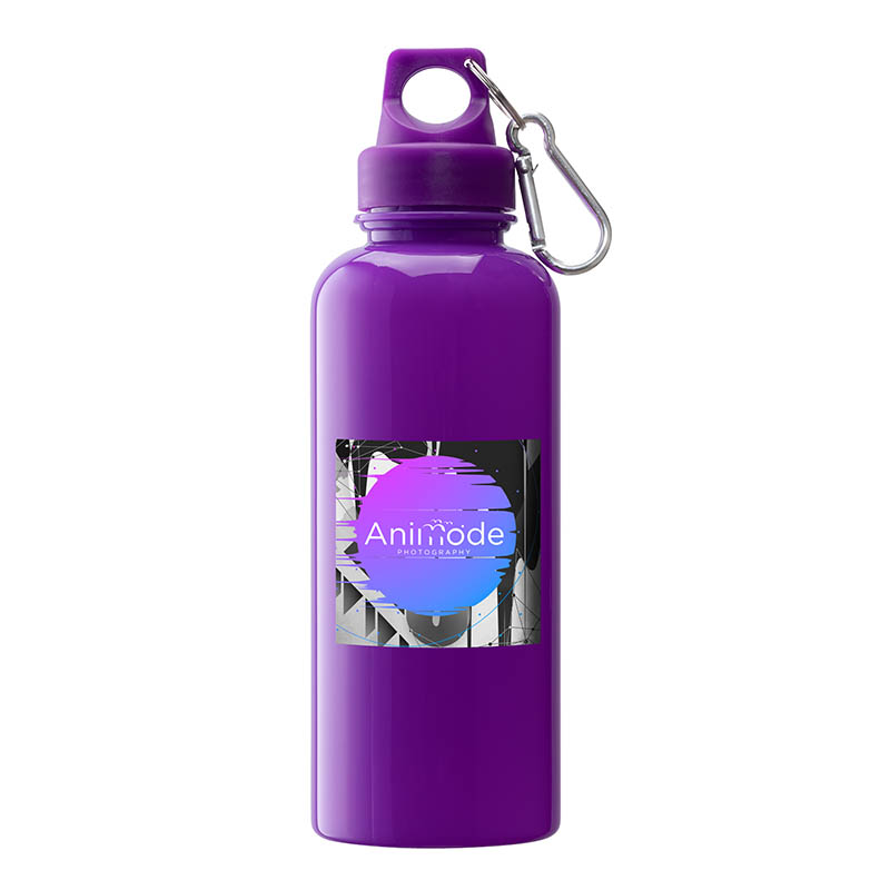 Brio 20 oz. PS Water Bottle w/ Carabiner 1