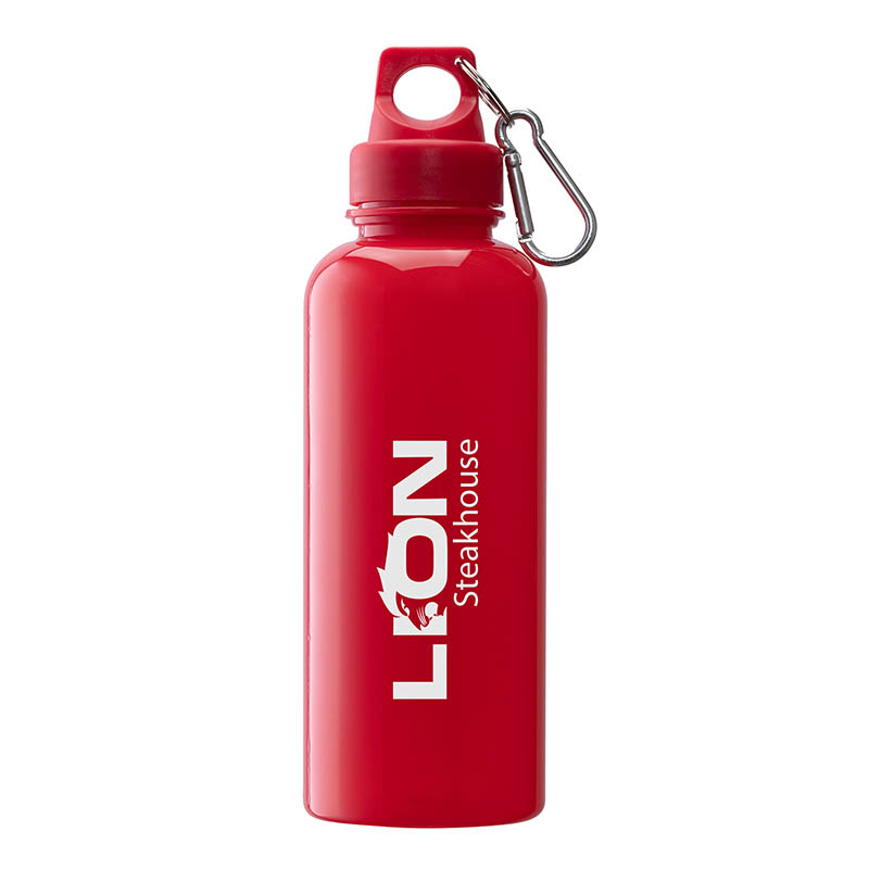 Brio 20 oz. PS Water Bottle w/ Carabiner 1