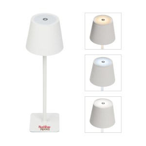 Theo LED Rechargeable Desk Lamp 1 Theo LED Rechargeable Desk Lamp 1