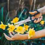 Kershaw® Taskmaster Shears 2 - 1121 Lifestyle_2 Kershaw® Taskmaster Shears 2 - 1121 Lifestyle_2