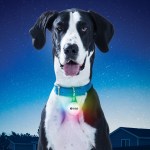 Nite Ize® Spotlit® Xl Rechargeable Carabiner Light - Disc-O Select™ - Dog Collar Nite Ize® Spotlit® Xl Rechargeable Carabiner Light - Disc-O Select™ - Dog Collar