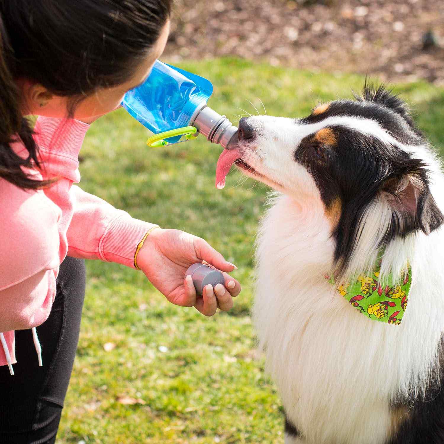 Vapur® Ez Lick Portable Dog Water Bottle 1