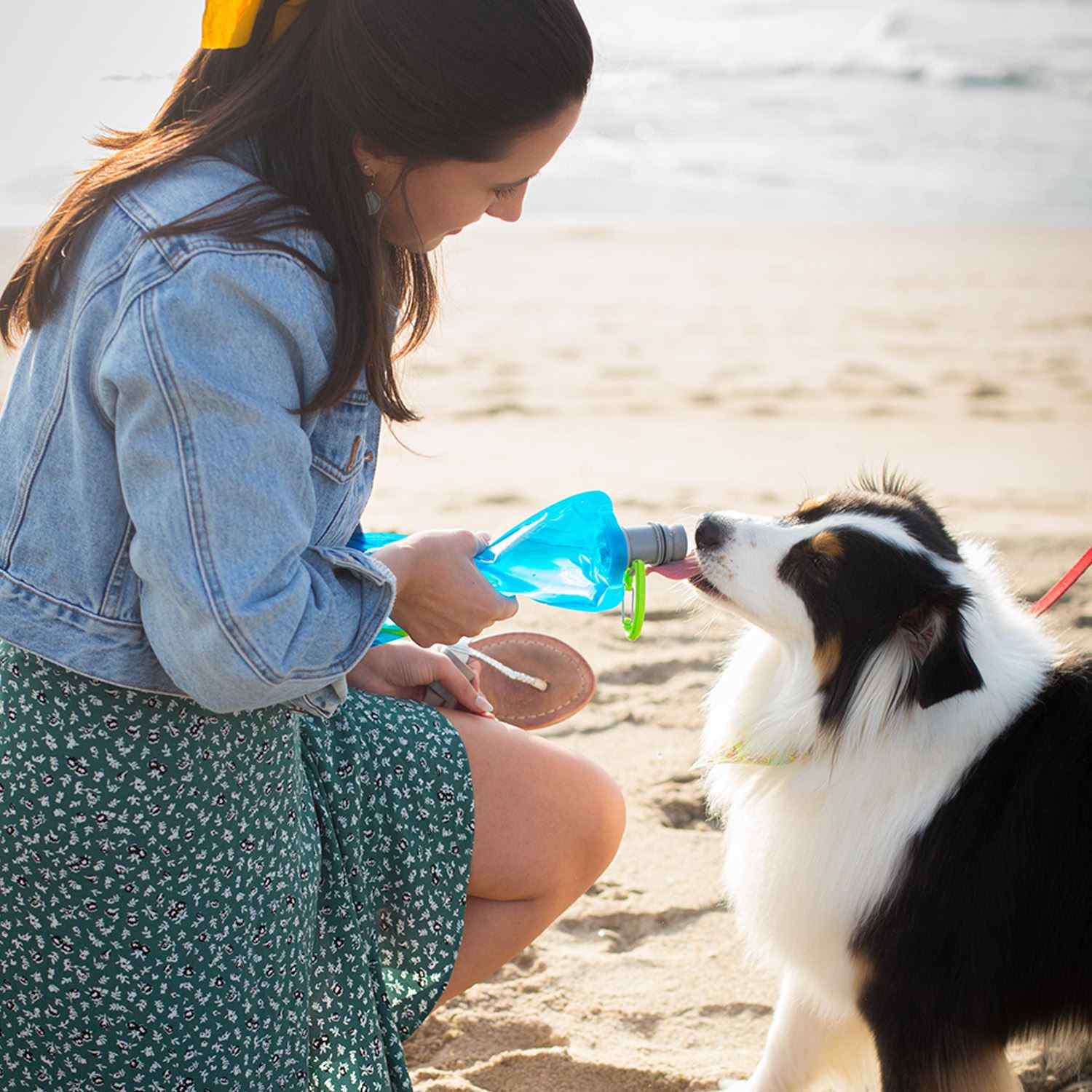 Vapur® Ez Lick Portable Dog Water Bottle 1