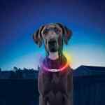 Nite Ize® Nitehowl® Rechargeable LED Safety Necklace - NHOR - Lifestyle 2 Nite Ize® Nitehowl® Rechargeable LED Safety Necklace - NHOR - Lifestyle 2