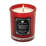 Zippo® Candy Apple Red Rechargeable Candle Lighter & 8 oz Cranberry Mimosa Candle Gift Set - Red - Candle Zippo® Candy Apple Red Rechargeable Candle Lighter & 8 oz Cranberry Mimosa Candle Gift Set - Red - Candle