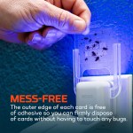 NEBO® Flying Insect Trap - NEB-TRP-0001 Infographic 4 NEBO® Flying Insect Trap - NEB-TRP-0001 Infographic 4