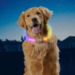 Nite Ize® Nitehowl® Max Rechargeable LED Safety Necklace - NHMR - Lifestyle 1 Nite Ize® Nitehowl® Max Rechargeable LED Safety Necklace - NHMR - Lifestyle 1