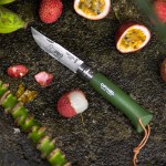 Opinel® No.08 Colorama Stainless Steel Folding Knife With Lanyard - Khaki G - 001703 - Lifestyle 2 Opinel® No.08 Colorama Stainless Steel Folding Knife With Lanyard - Khaki G - 001703 - Lifestyle 2
