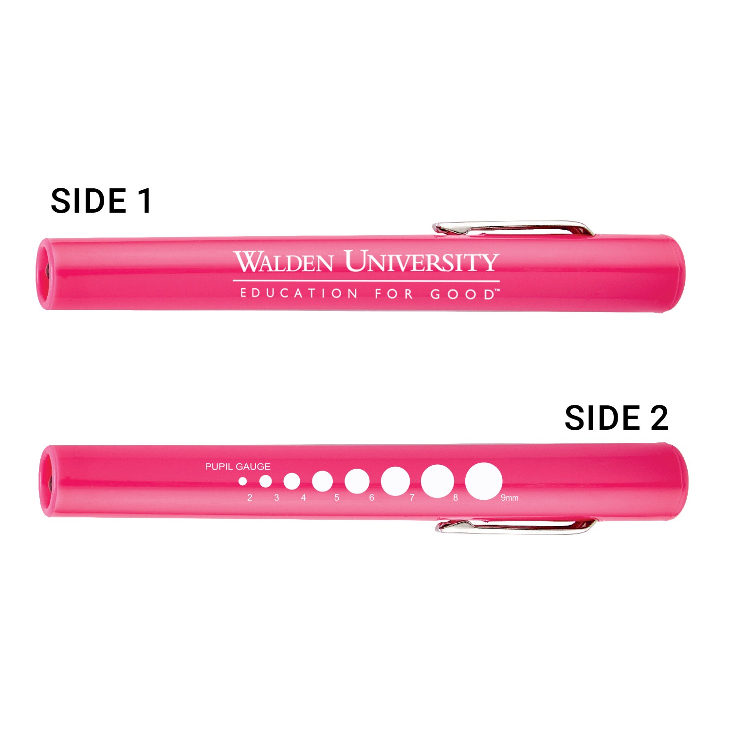 Medical Penlight With Pupil Gauge 1