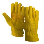 Premium Goatskin Leather Gloves - C48 - Lifestyle 1 Premium Goatskin Leather Gloves - C48 - Lifestyle 1