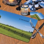Hardback Cork-Back Placemats (2 Pack) 1 Hardback Cork-Back Placemats (2 Pack) 1