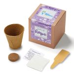 Garden of Hope Planter in Kraft Gift Box (Purple) 1 Garden of Hope Planter in Kraft Gift Box (Purple) 1