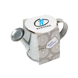 Seed Sensations Watering Can Planter w/Holiday Wrapper 1 Seed Sensations Watering Can Planter w/Holiday Wrapper 1