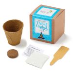 Throat Chakra Growable in Kraft Gift Box 1 Throat Chakra Growable in Kraft Gift Box 1
