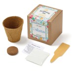 Growables Planter in Kraft Gift Box w/Seeds (Wildflowers) 1 Growables Planter in Kraft Gift Box w/Seeds (Wildflowers) 1