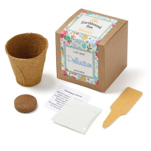 Growables Planter in Kraft Gift Box w/Seeds (Wildflowers) 1 Growables Planter in Kraft Gift Box w/Seeds (Wildflowers) 1