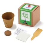 Heart Chakra Growable in Kraft Gift Box 1 Heart Chakra Growable in Kraft Gift Box 1