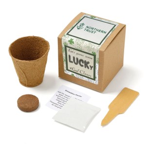 Growables Planter in Kraft Gift Box w/Seeds (Lucky 4 Leaf Clover) 1 Growables Planter in Kraft Gift Box w/Seeds (Lucky 4 Leaf Clover) 1
