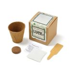 Growables Planter in Kraft Gift Box w/Seeds (Lucky 4 Leaf Clover) 2 Growables Planter in Kraft Gift Box w/Seeds (Lucky 4 Leaf Clover) 2