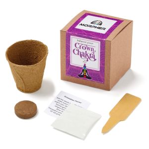 Crown Chakra Growable Planter In Kraft Gift Box 1 Crown Chakra Growable Planter In Kraft Gift Box 1