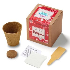 Garden of Hope Planter in Kraft Gift Box (Red) 1 Garden of Hope Planter in Kraft Gift Box (Red) 1