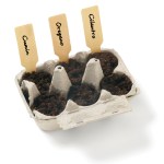 Grow Your Own Mexican Herb Garden Kit w/Seeds - Natural White Blank Interior Grow Your Own Mexican Herb Garden Kit w/Seeds - Natural White Blank Interior