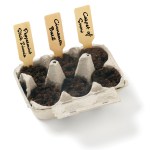 Winter Wonderland Grow Your Own Kit w/Seeds - Various Blank Interior Winter Wonderland Grow Your Own Kit w/Seeds - Various Blank Interior