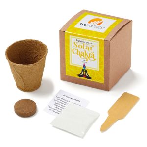 Solar Chakra Growable in Kraft Gift Box 1 Solar Chakra Growable in Kraft Gift Box 1