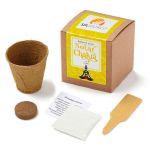 Solar Chakra Growable in Kraft Gift Box 1 Solar Chakra Growable in Kraft Gift Box 1