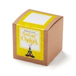 Solar Chakra Growable in Kraft Gift Box 2 Solar Chakra Growable in Kraft Gift Box 2