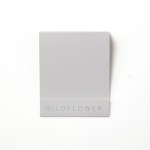 Gray Garden of Hope Matchbook 2 Gray Garden of Hope Matchbook 2