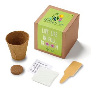 Inspirational Live Life in Full Bloom Planter in Kraft Gift Box 1 Inspirational Live Life in Full Bloom Planter in Kraft Gift Box 1