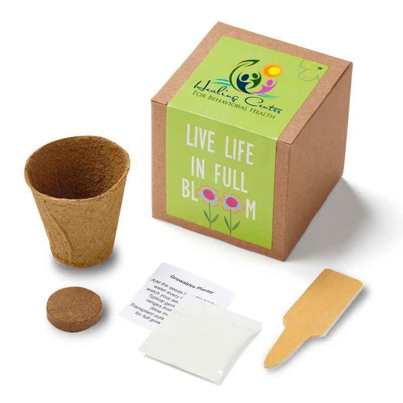 Inspirational Live Life in Full Bloom Planter in Kraft Gift Box 1 Inspirational Live Life in Full Bloom Planter in Kraft Gift Box 1