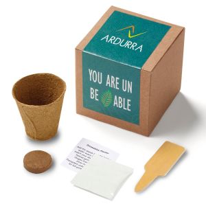 Inspirational Leaf Planter in Kraft Gift Box 1 Inspirational Leaf Planter in Kraft Gift Box 1