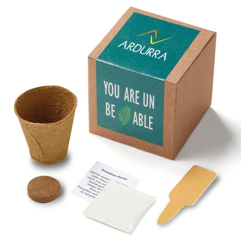 Inspirational Leaf Planter in Kraft Gift Box 1 Inspirational Leaf Planter in Kraft Gift Box 1