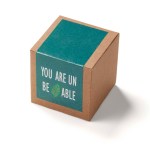 Inspirational Leaf Planter in Kraft Gift Box 2 Inspirational Leaf Planter in Kraft Gift Box 2
