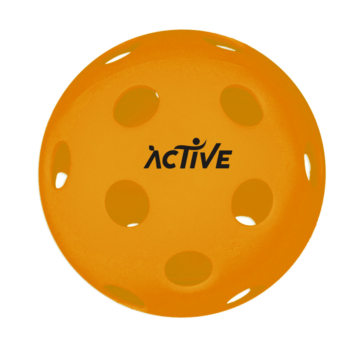 26 Hole Indoor Pickleball 1