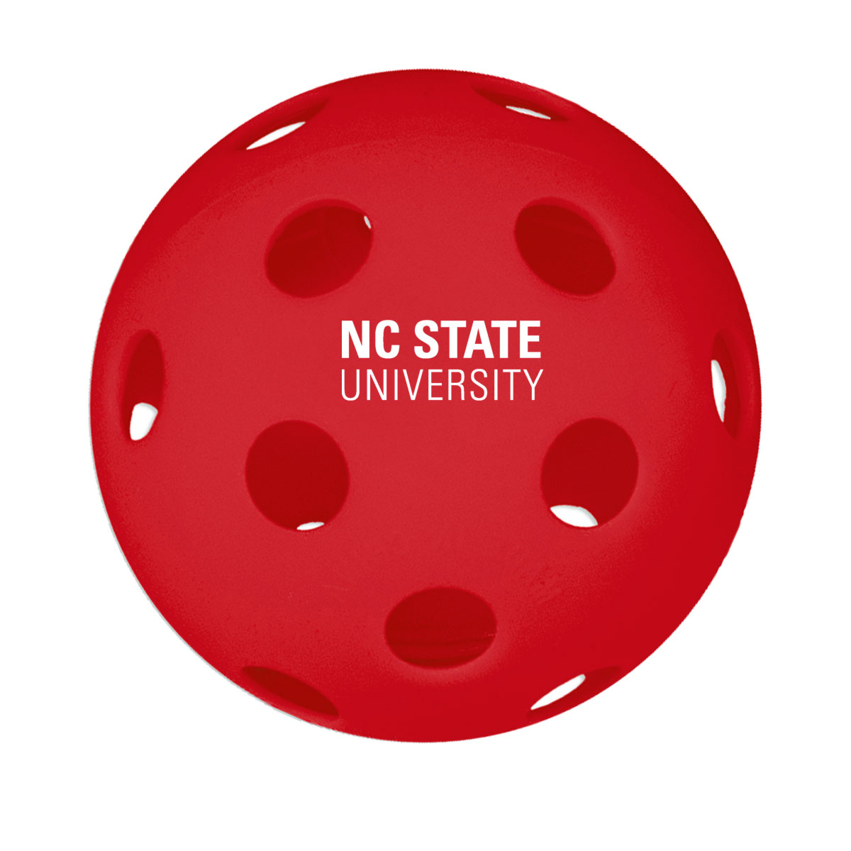 26 Hole Indoor Pickleball 1