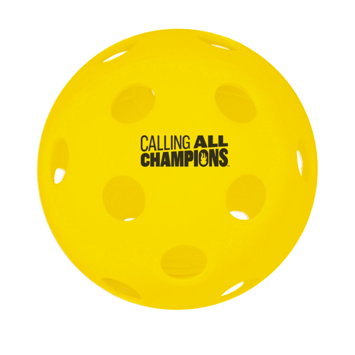 26 Hole Indoor Pickleball 1