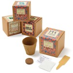 Growables Planter Pot in Kraft Gift Box w/Seeds (Small Sugar Pumpkin) 1 Growables Planter Pot in Kraft Gift Box w/Seeds (Small Sugar Pumpkin) 1