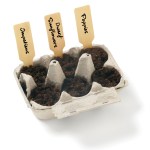Grow Your Own Wildflower Garden Kit w/Seeds - Natural White Blank Interior Grow Your Own Wildflower Garden Kit w/Seeds - Natural White Blank Interior