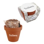 Seed Sensations Terracotta Pot w/Holiday Wrapper 1 Seed Sensations Terracotta Pot w/Holiday Wrapper 1
