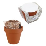 Seed Sensations Terracotta Pot w/Holiday Wrapper 2 Seed Sensations Terracotta Pot w/Holiday Wrapper 2