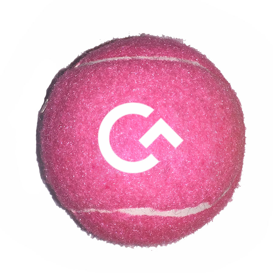 Fido%27s Dog Ball 1