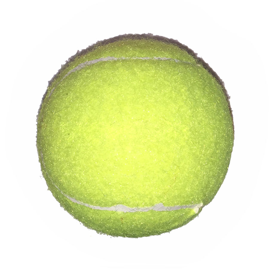 Fido%27s Dog Ball 1