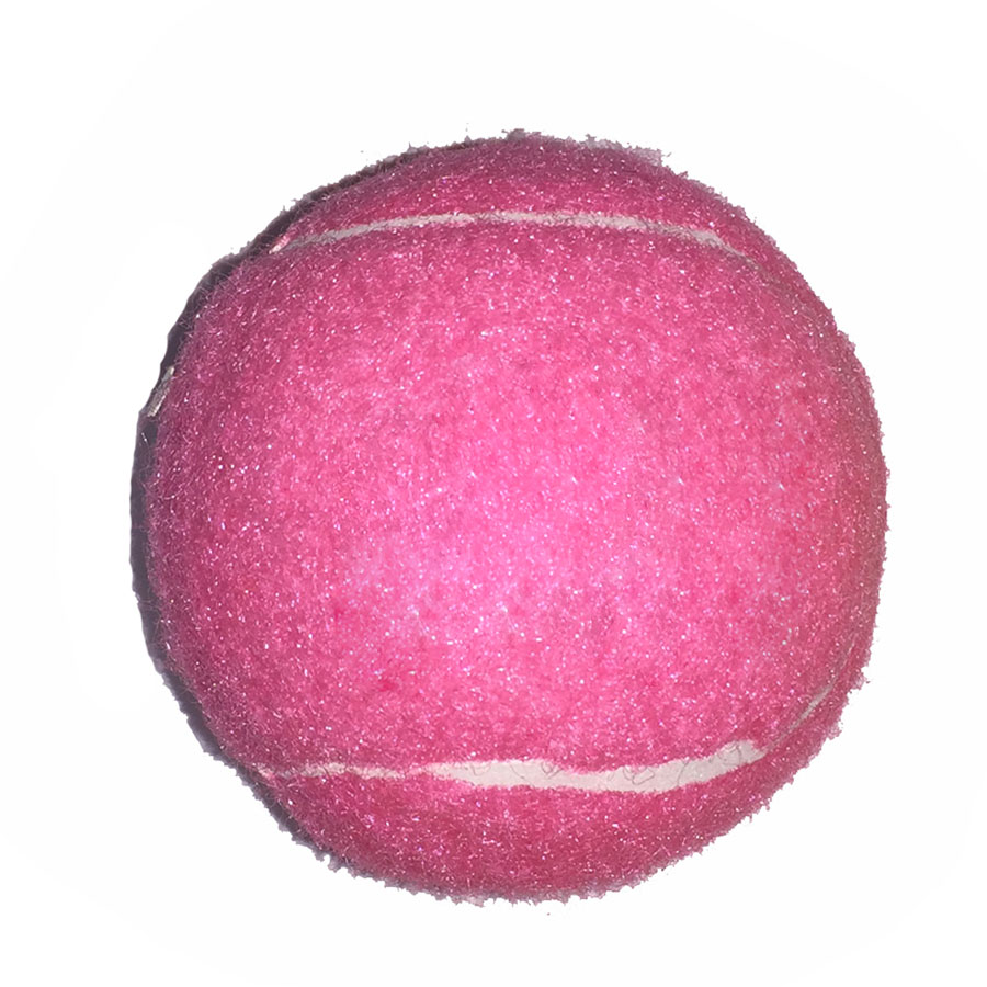 Fido%27s Dog Ball 1