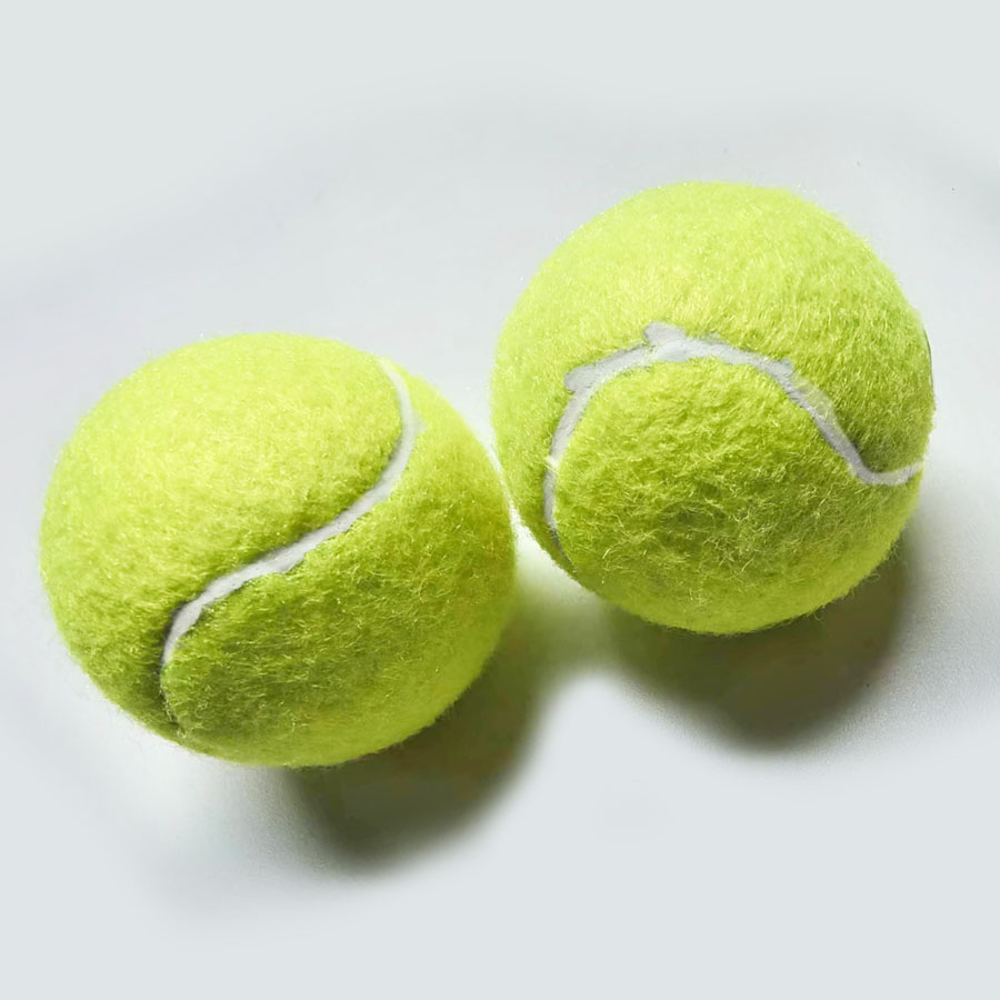 Fido%27s Dog Ball 1
