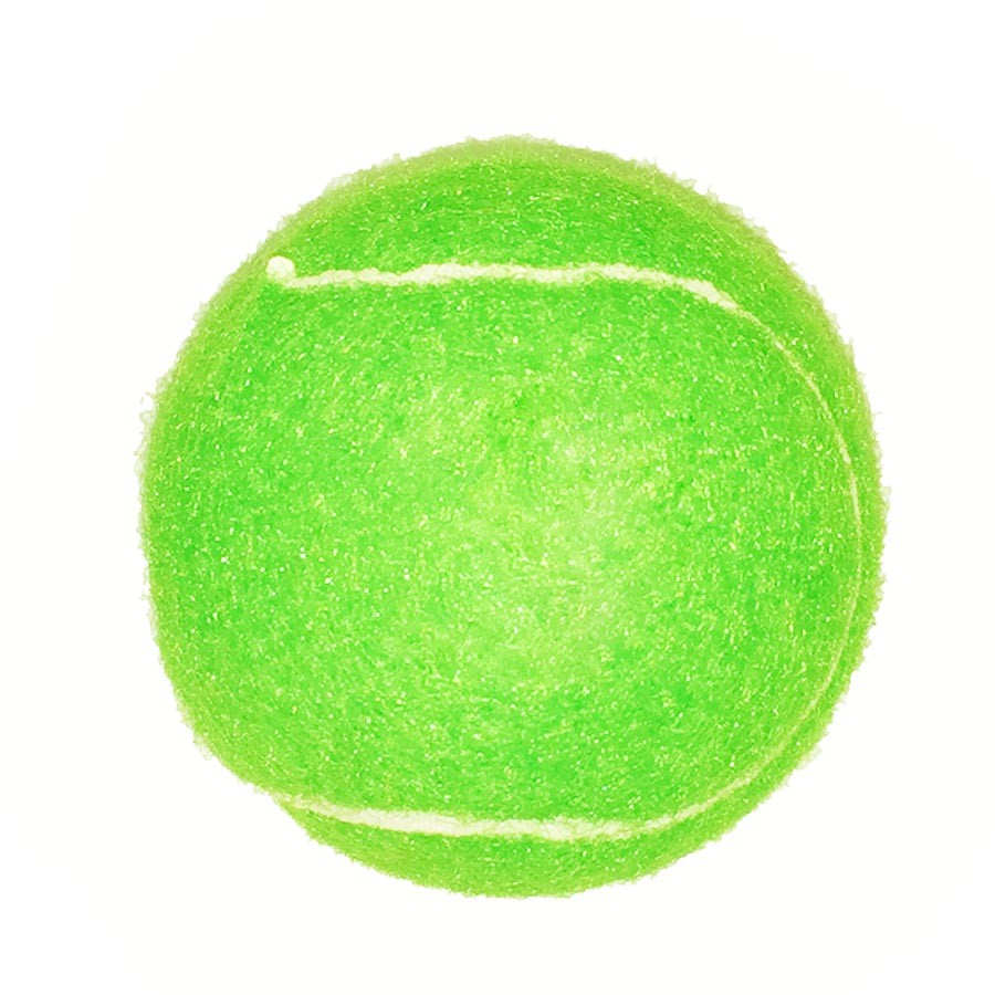 Fido%27s Dog Ball 1