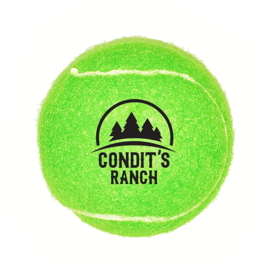 Fido%27s Dog Ball 1