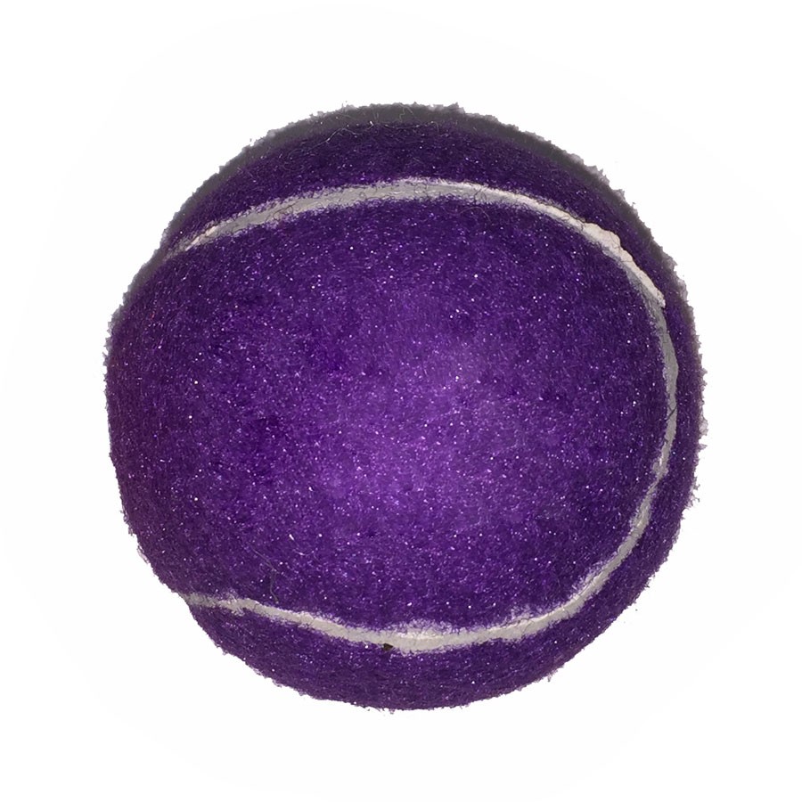 Fido%27s Dog Ball 1